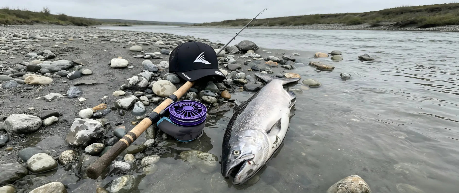 FinReel Apex Limited